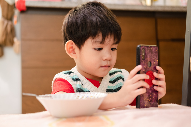 The Cost of Early Smartphones