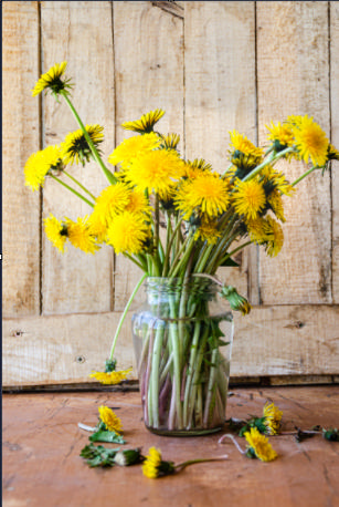 Spring Has Sprung, the Sun Is Riz— I Wonder Where the Flowers Is?